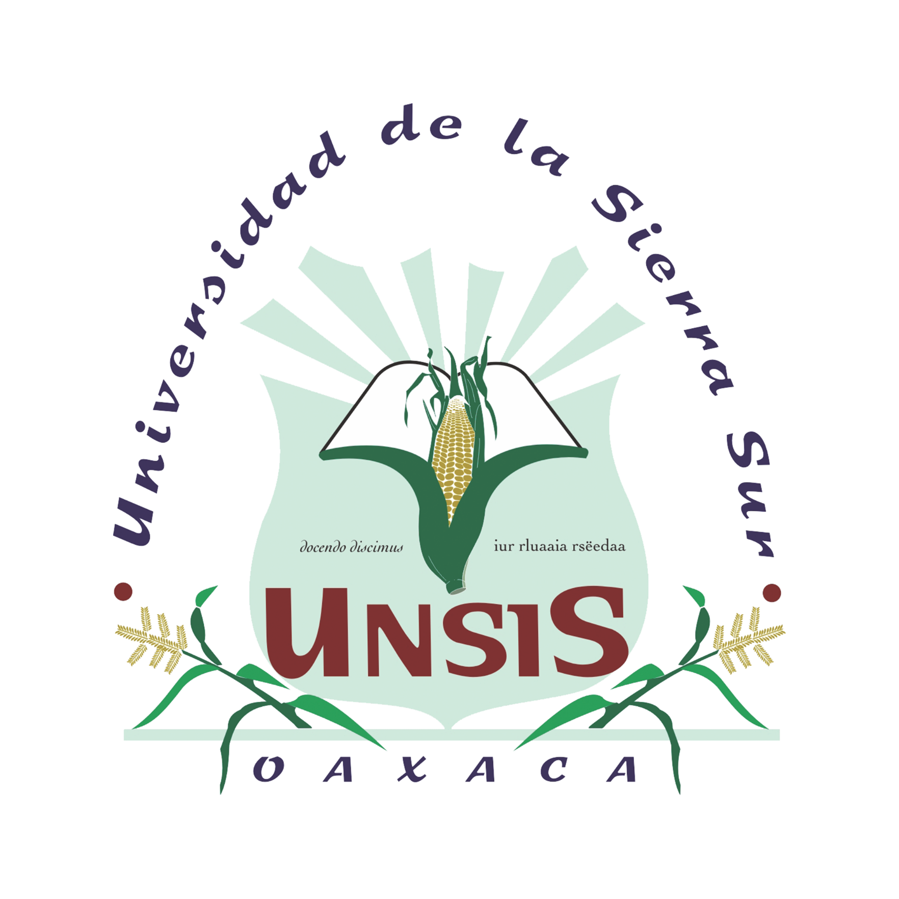 unsis